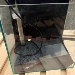 水槽もらってください。の画像