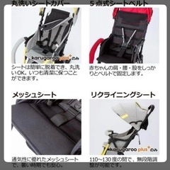 Richell カンガループラスCTの画像