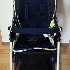 Richell カンガループラスCT
