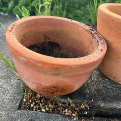陶器　植木鉢の画像