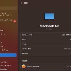 MacBook Air（M1,2020）256GB/8GB〈MGND3J/A〉⑤の画像