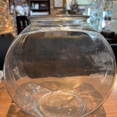 金魚メダカガラス鉢