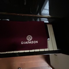 DIAPASONピアノの画像