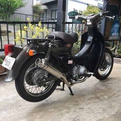リトルカブの画像