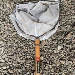 タモ　網　魚　釣り　川　海の画像