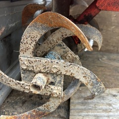 こんウキの画像