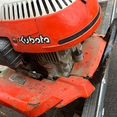 こんウキの画像