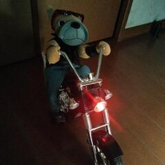 BULLS RIDER ブルズライダー

