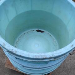 オケ　巨大の画像