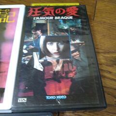 ソフィー・マルソー  VHS  5本セットの画像