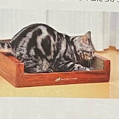 猫ちゃんの爪とぎ　段ボールの画像