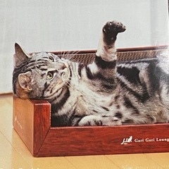 猫ちゃんの爪とぎ　段ボールの画像