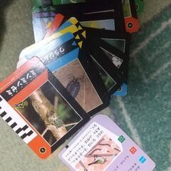 こどもちゃれんじ　生き物の声が聴けるやつの画像
