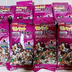 モルモットのご飯　モルモットディナー