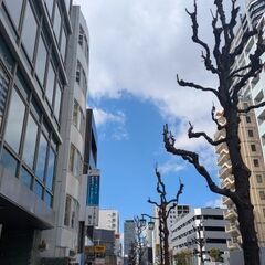 【駅チカ・出社型】求人エージェントのテレアポスタッフ募集！時給1200円～1700円＋インセンティブありの画像