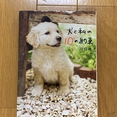 犬と私の10の約束の画像