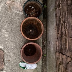 陶器の植木鉢　3種類　まとめての画像
