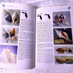 洋書•Florida’s Living Beaches⑫の画像