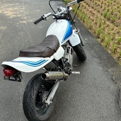 ホンダ　エイプ50の画像