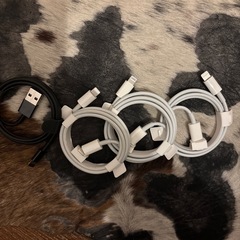 iPhone 充電器の画像