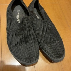 現場の涼さん　25cm