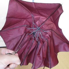 雨傘　折りたたみ　ワインレッド　使用品の画像
