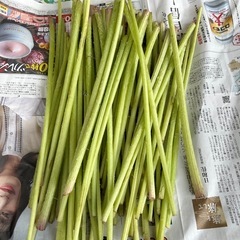 ふき