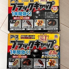 アース ブラックキャップ 12個入り × 2箱