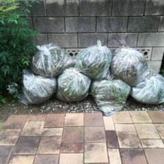 😄お庭でお困りの方ご相談下さい！ - 地元のお店
