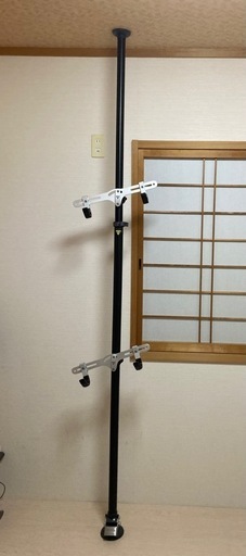 TOPEAK トピーク　自転車デュアルスタンド