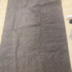 10月購入　床暖対応カーペット　ラグの画像