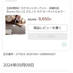 10月購入　床暖対応カーペット　ラグの画像