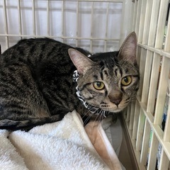 フレンドリー小太郎は1才🐾