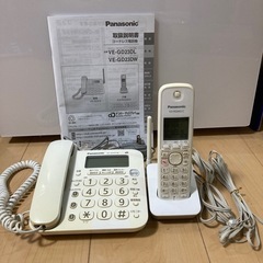 Panasonic VE-GD23DLの画像