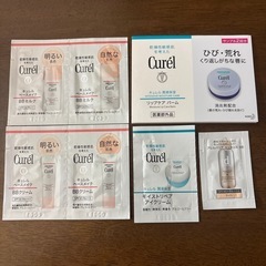 キュレル　dプログラム　サンプルセット　　