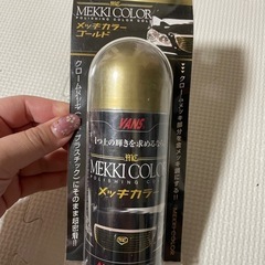 メッキカラー【決まりました】の画像