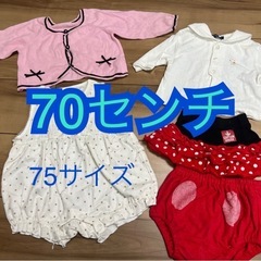 70サイズ   まとめ売り