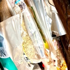 【取引終了】ハリネズミ飼育セットの画像