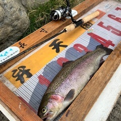 釣り友達募集！