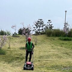 植物・樹木・自然に触れる仕事がしたい方【樹木医在籍】の画像