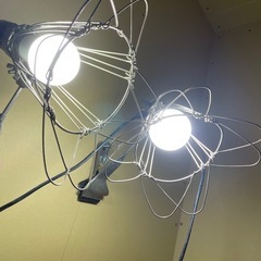 LED作業灯電球2つ