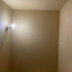 LED作業灯電球2つの画像