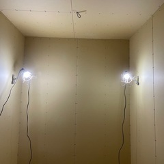 LED作業灯電球2つの画像