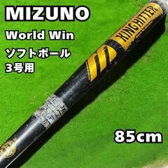MIZUNO ミズノ ワールド ウィン キング ヒッター ソフト...