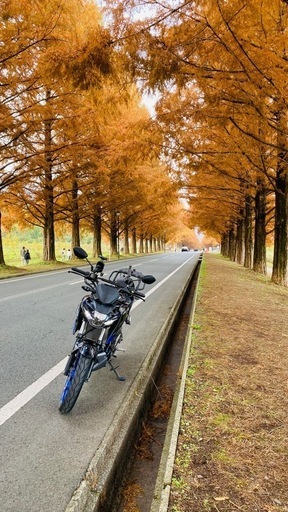 スズキ　gsx-s125