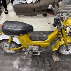 シャリー50 国内  　
