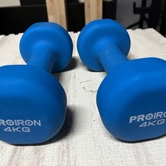 PROIRONダンベル4kg　