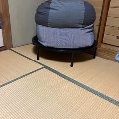 人をダメにするクッションの画像