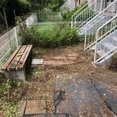 草むしり作業 - 流山市