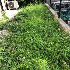 草むしり作業 - 便利屋